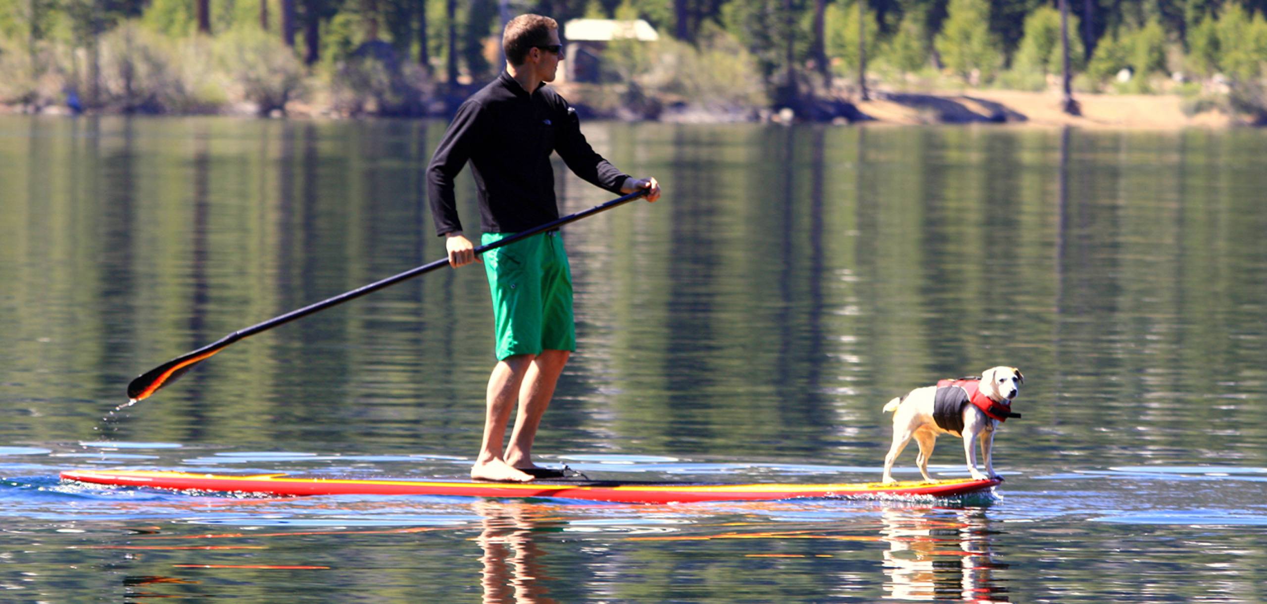 are dogs allowed at donner lake